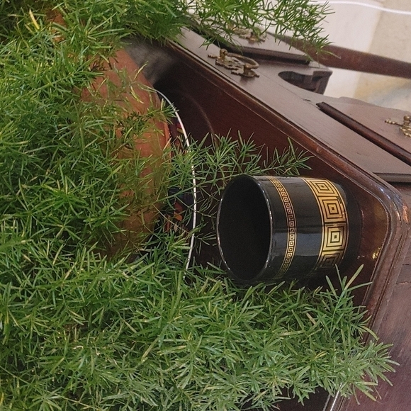 Set Of 6 Ceramic Succulent Planters 3x3 Black With Gold Geometric Design. - Picture 6 of 11